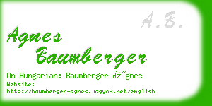 agnes baumberger business card